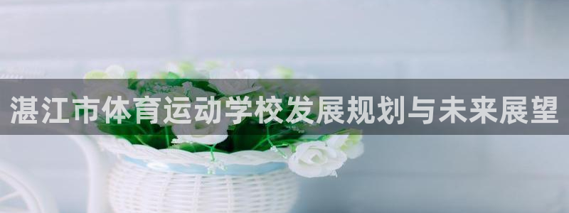 77体育app下载官网：湛江市体育运动学校发展规划与未来展望