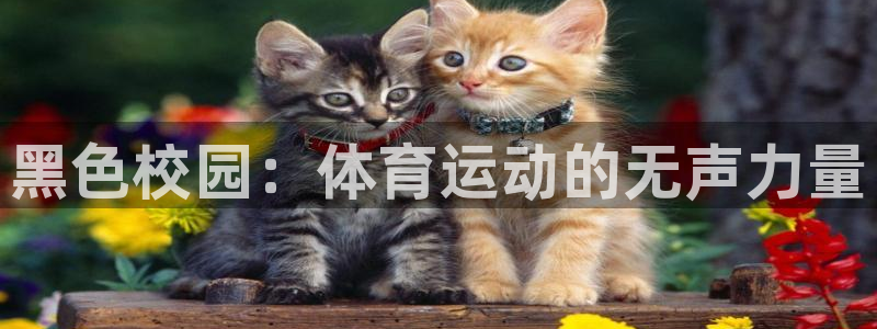 皇冠277体育：黑色校园：体育运动的无声力量