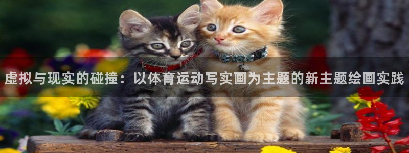 77体育