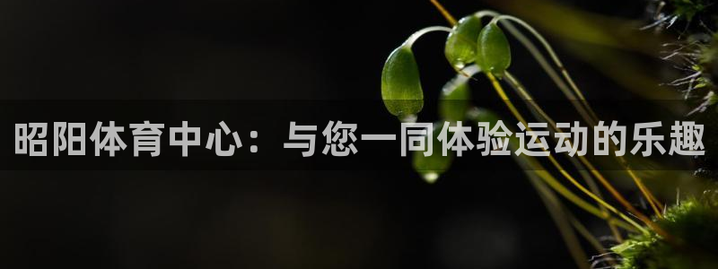 77体育官网