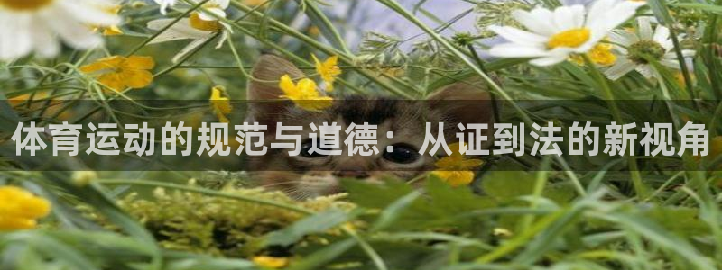 77体育：体育运动的规范与道德：从证到法的新视角