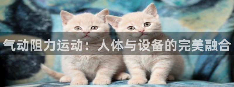 77体育app下载官网：气动阻力运动：人体与设备的完美融合