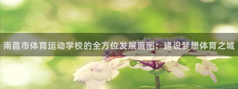 77体育app下载官网：南昌市体育运动学校的全方位发展蓝图：建设梦想体育之城